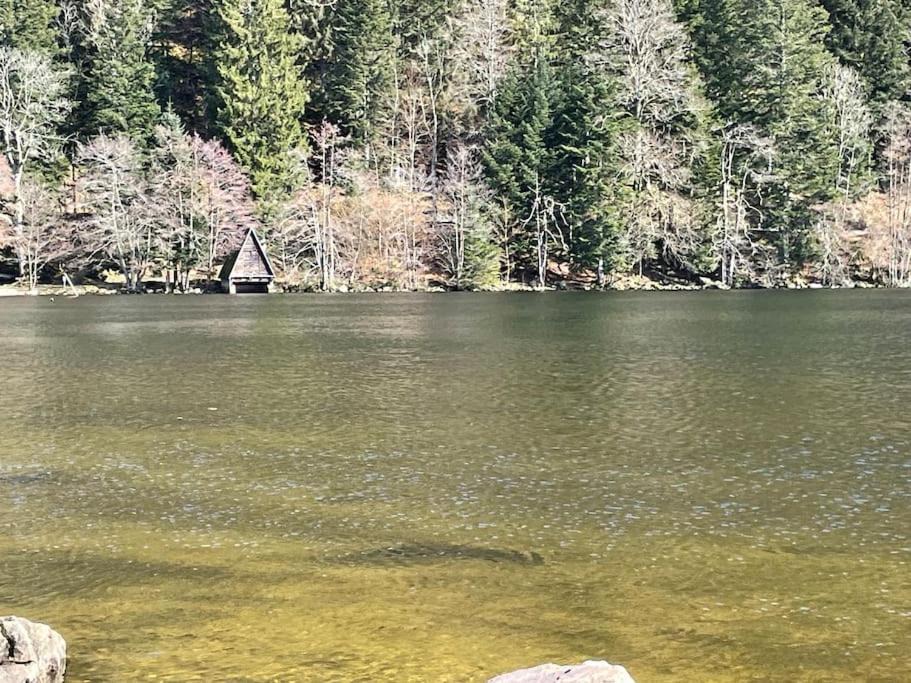 Photo of Others in Xonrupt-Longemer