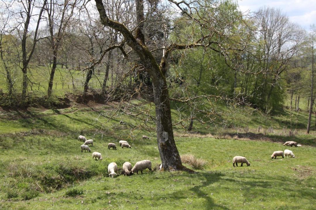 Photo of Others in Combrimont