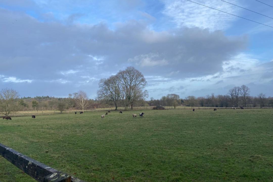 Photo of Others in Hungerford