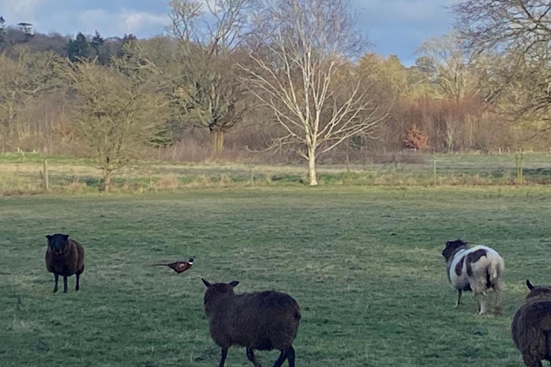 Photo of Others in Hungerford