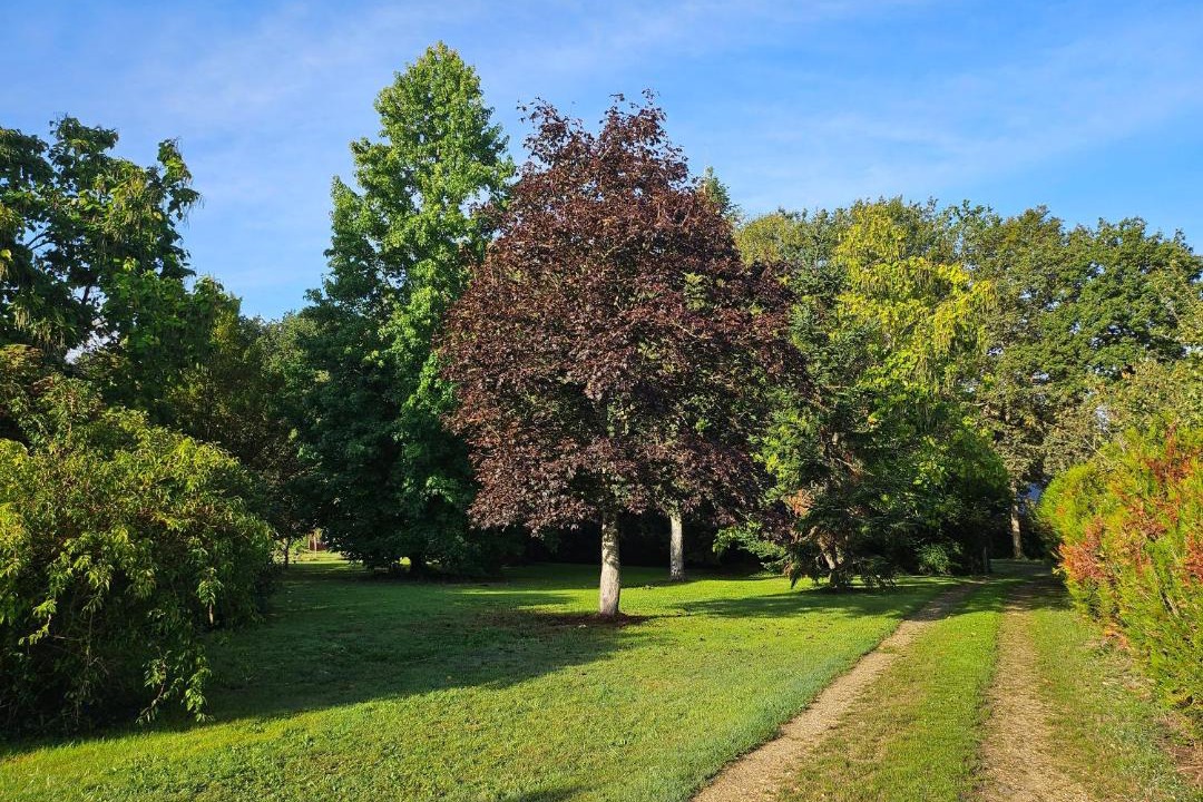 Photo of Others in Guecelard