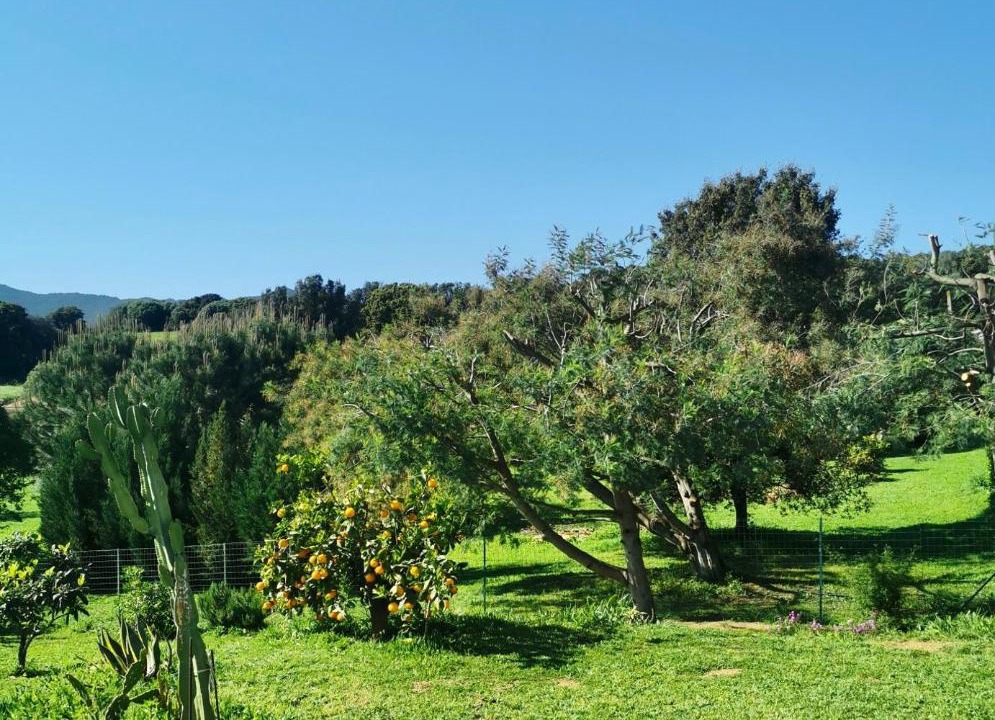 Photo of Others in Peri