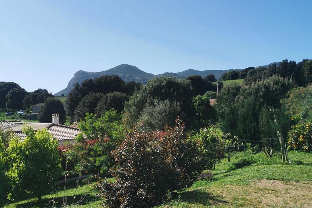 Photo of Outdoor in Peri