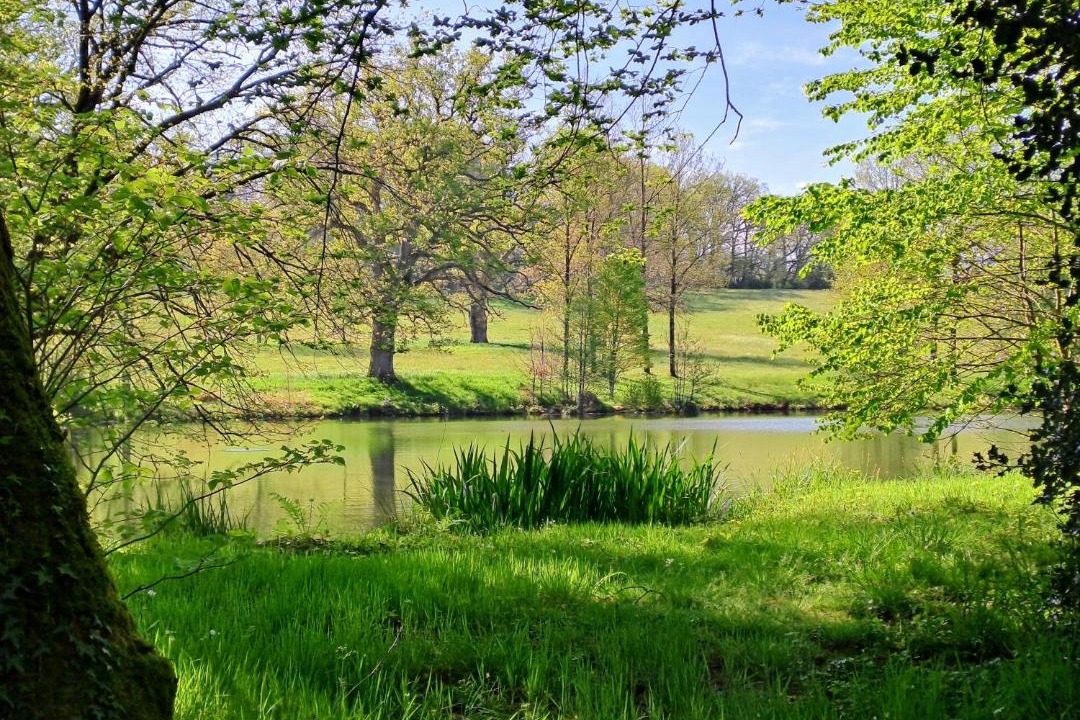 Photo of Others in Le Pin