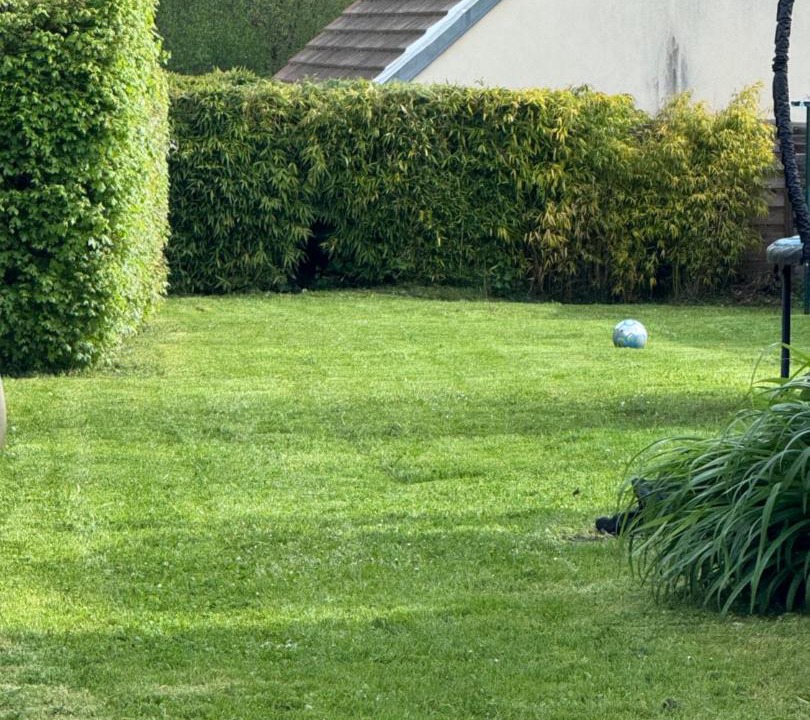 Photo of Others in Mouy