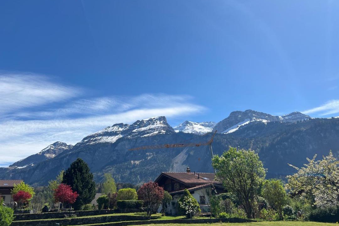 Photo of Others in Brienz
