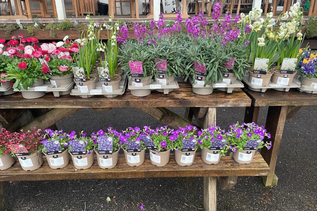 Photo of Buildings in Aberchalder
