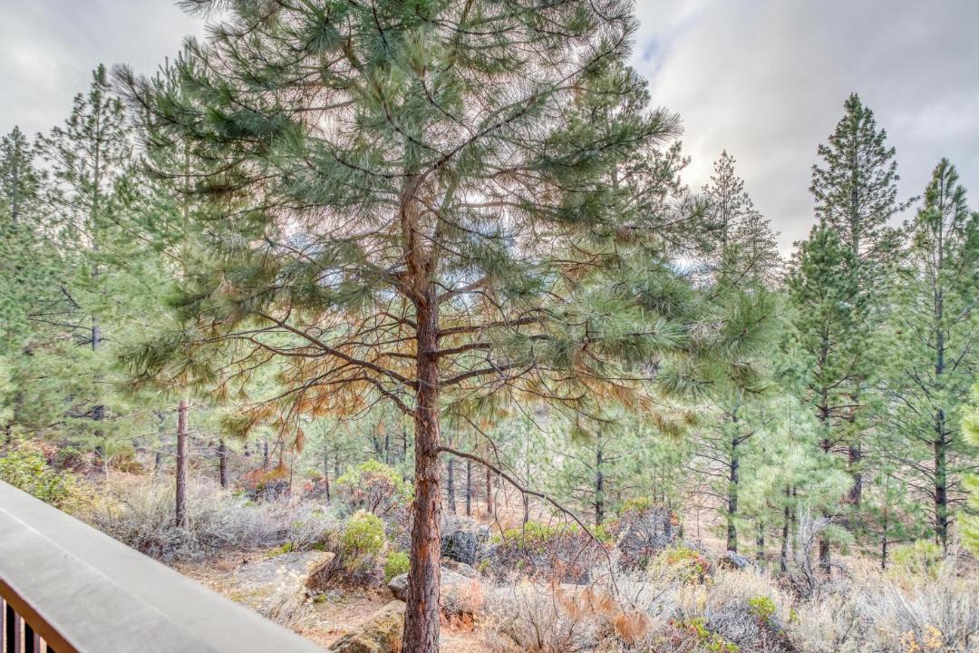 Photo of Others in Century West