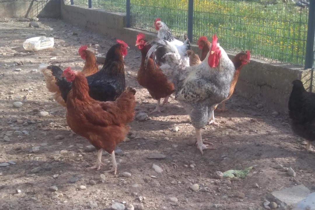 Photo of Others in Aiglun