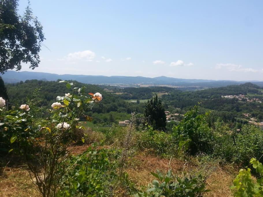 Photo of Others in Forcalquier