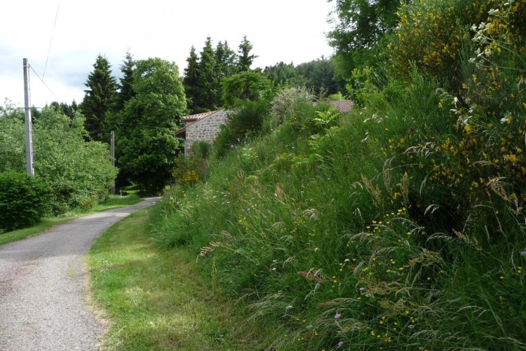 Photo of Others in Saint-Jean-Soleymieux