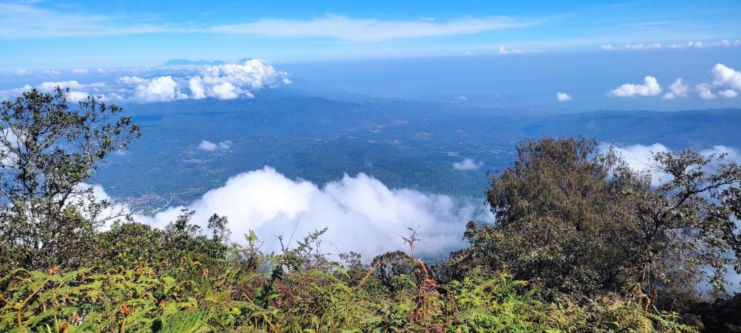 Photo of Others in Penebel