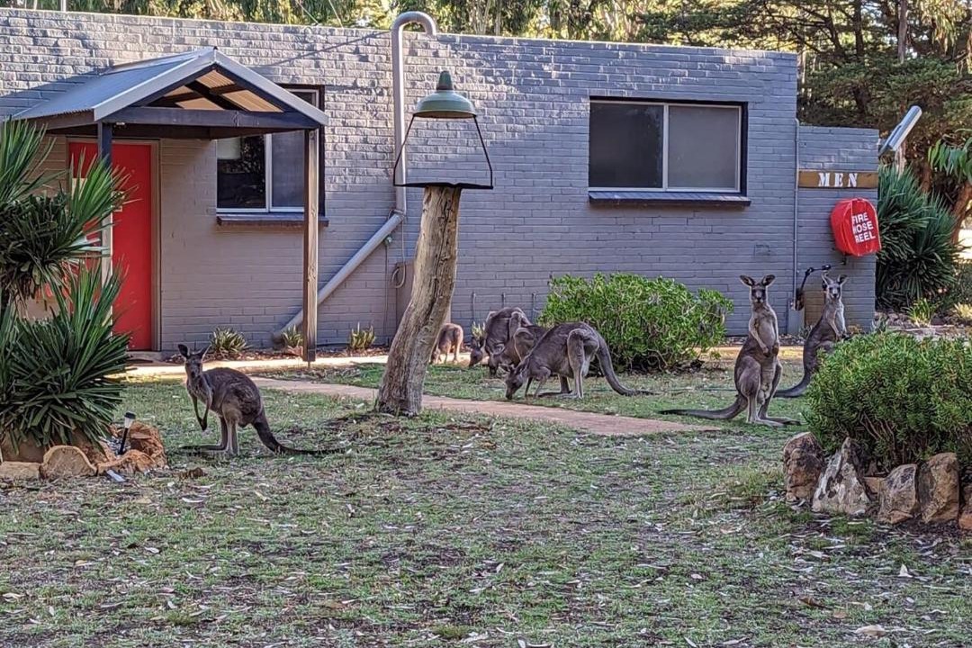 Photo of Others in Dadswells Bridge