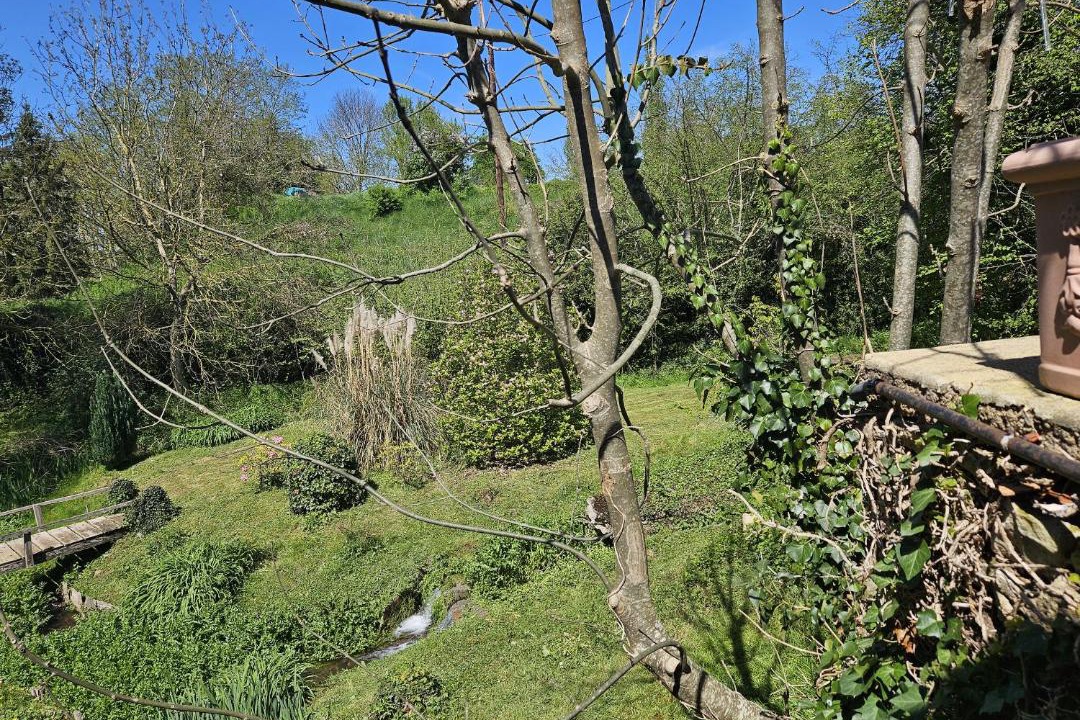 Photo of Others in Coust