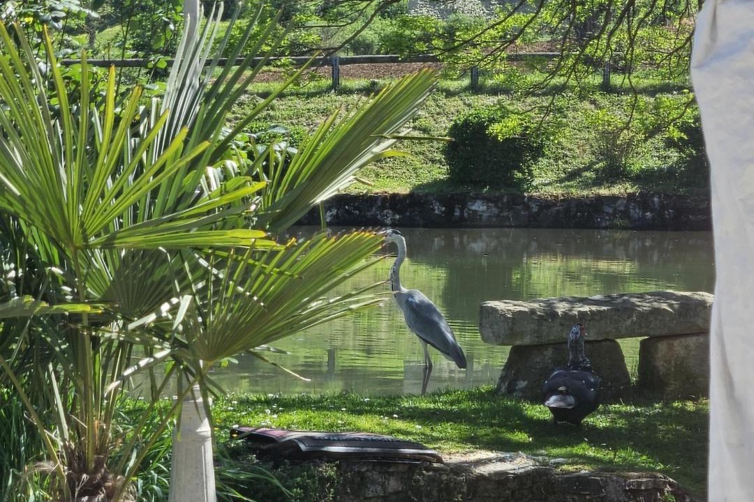 Photo of Others in Coust