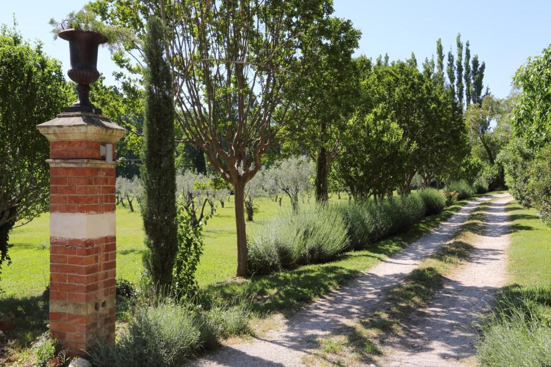 Photo of Others in Arles