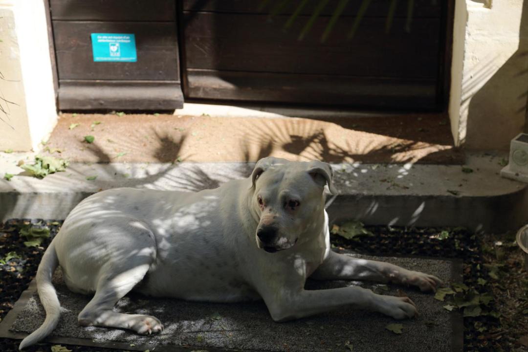 Photo of Others in Arles