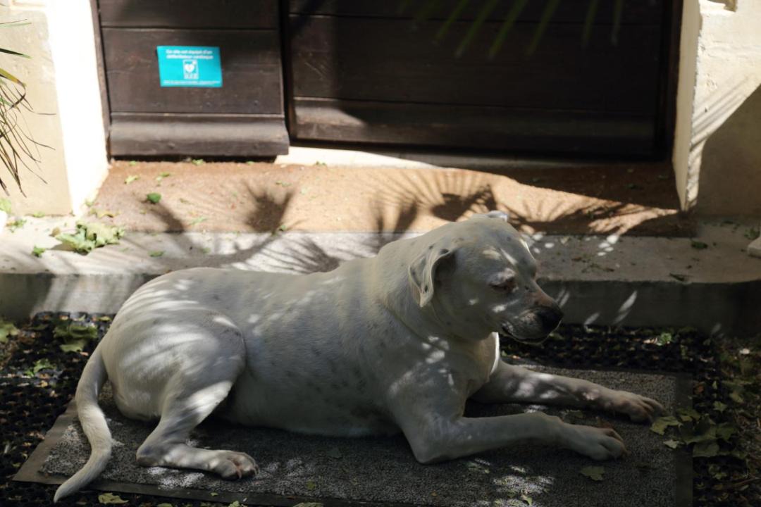 Photo of Livingroom in Arles