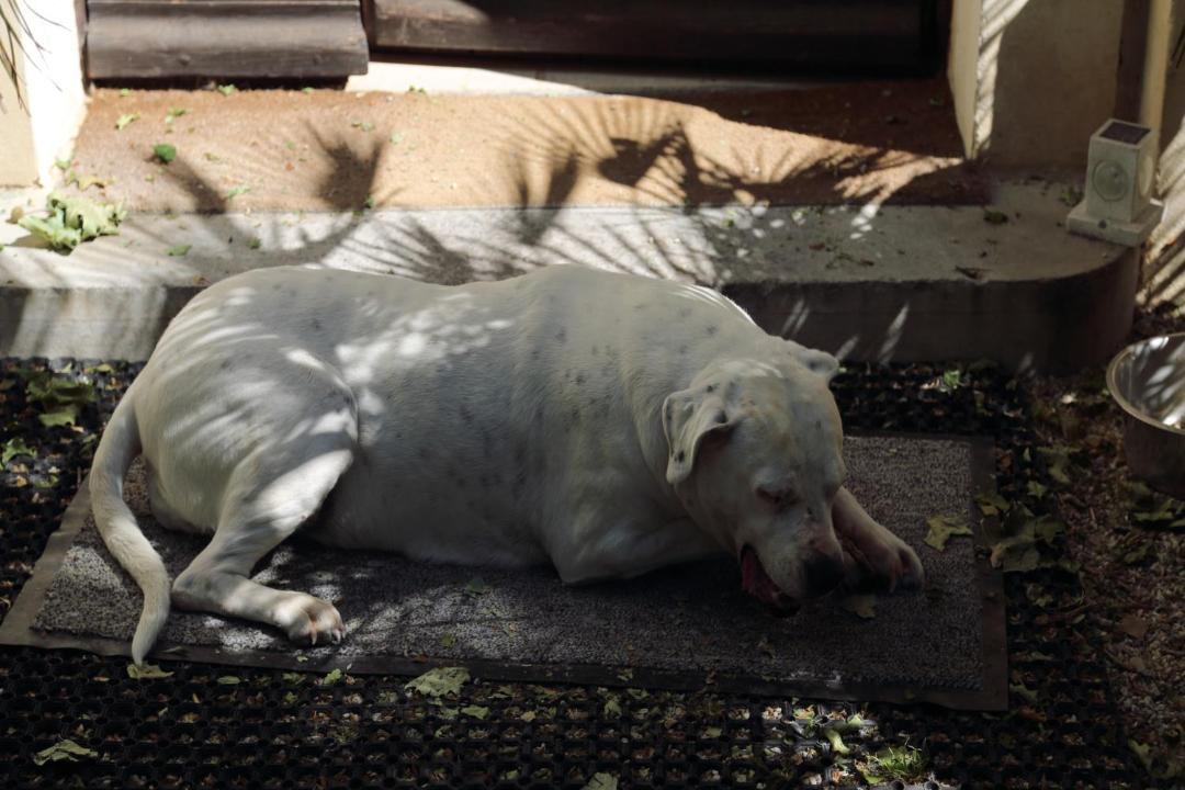 Photo of Others in Arles