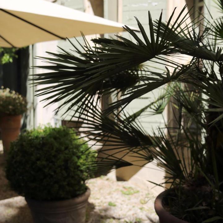 Photo of Others in Arles