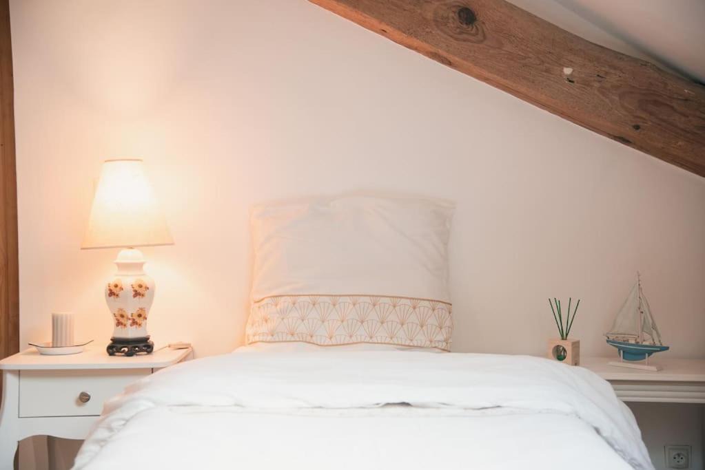 Photo of Others in Saint-Vincent-de-Tyrosse