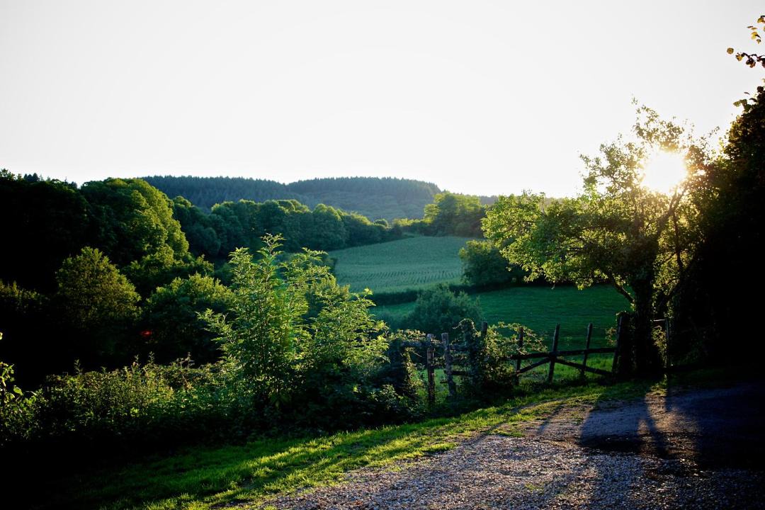 Photo of Others in Sussac