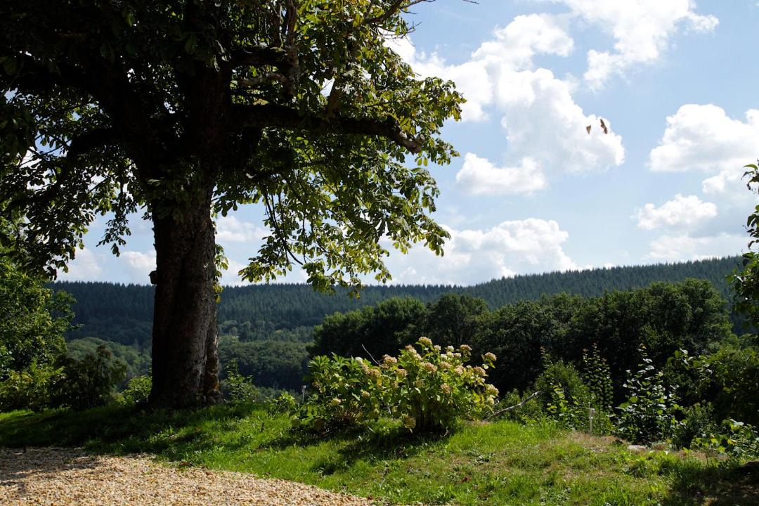 Photo of Others in Sussac