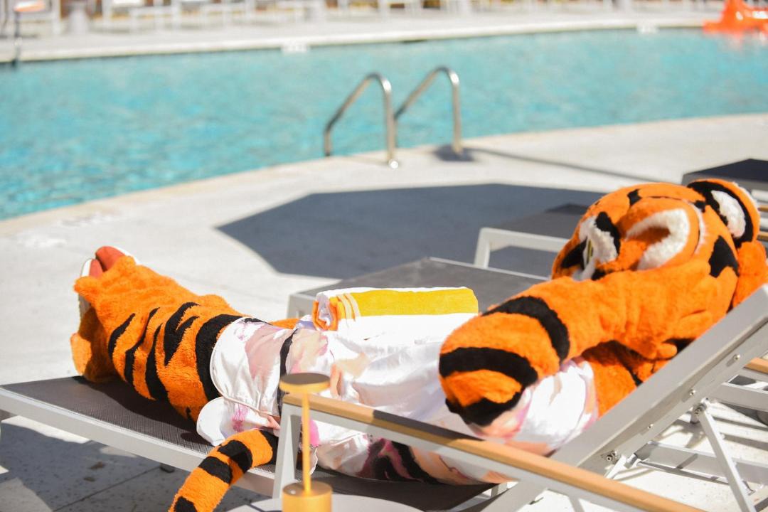 Photo of Others in Clemson
