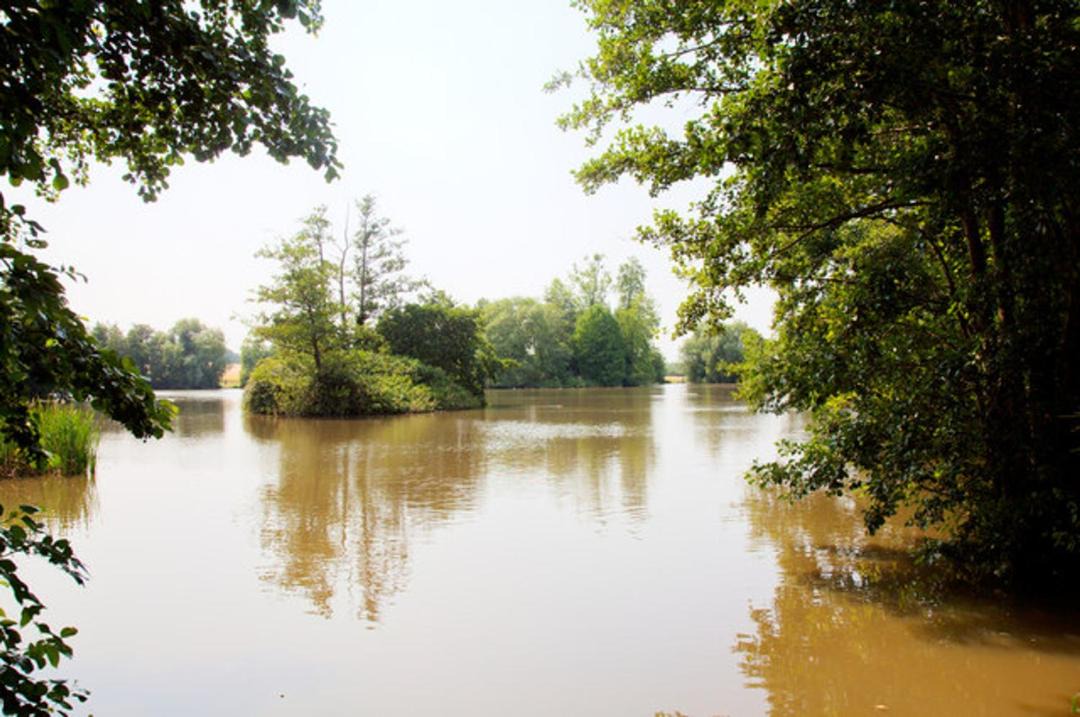 Photo of Others in Westbury