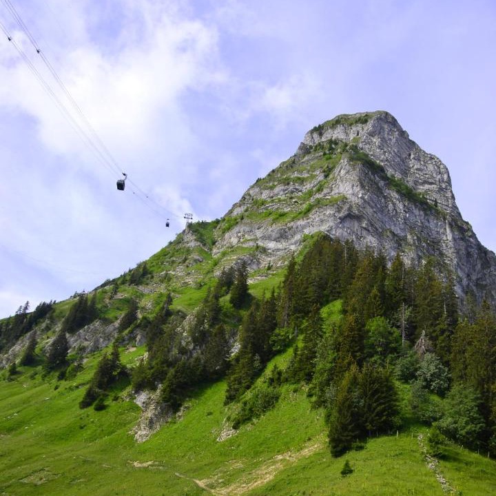 Photo of Others in Moleson