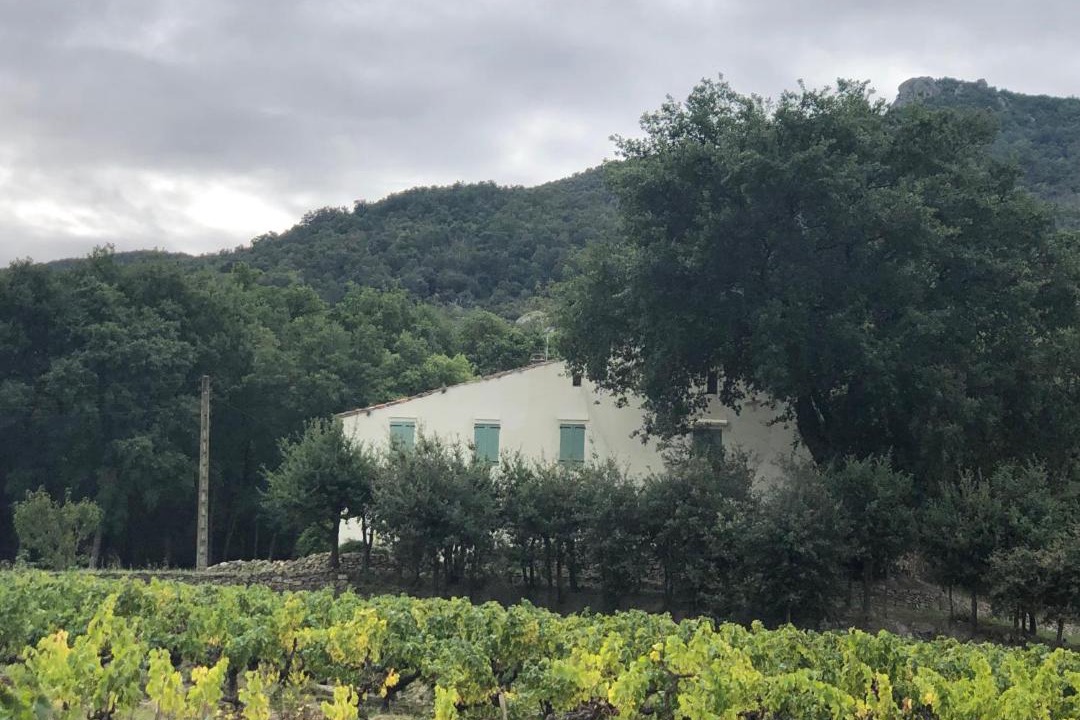 Photo of Outdoor in Laroque-des-Alberes