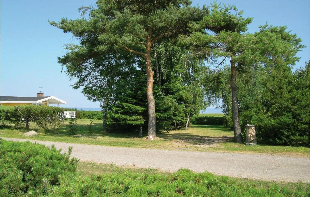 Photo of Others in Østerskov