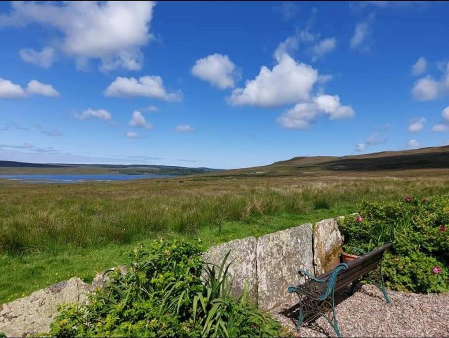 Photo of Others in Halkirk