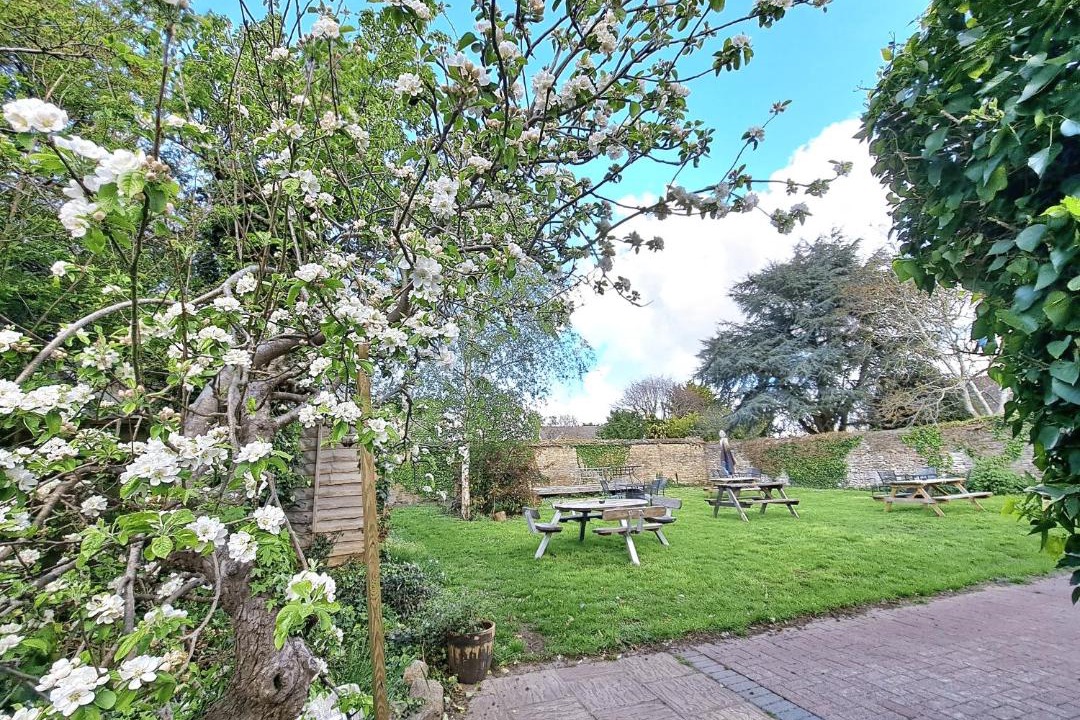 Photo of Others in South Leigh