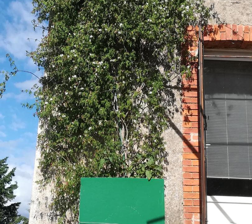 Photo of Others in Chambon