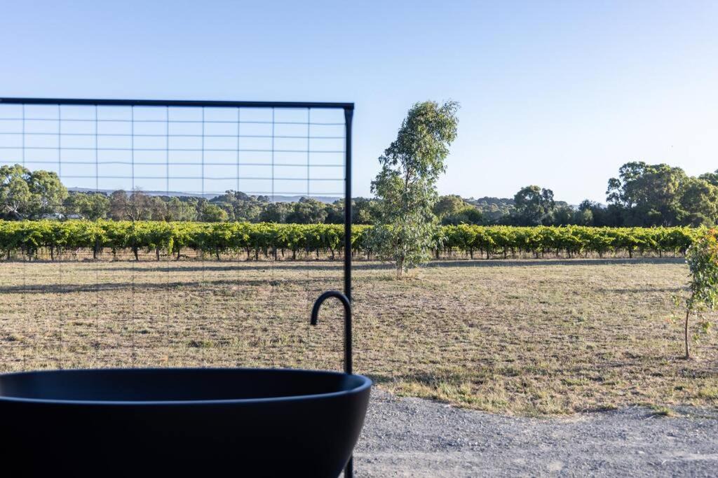 Photo of Others in McLaren Flat