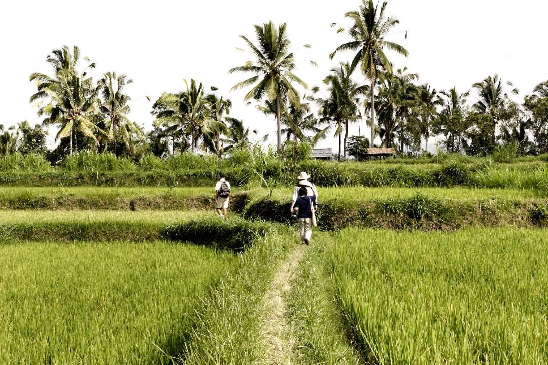 Photo of Others in Buahan