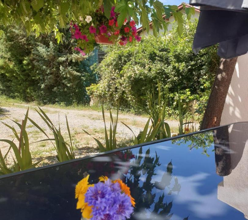 Photo of Others in Saint-Martin-de-Bromes