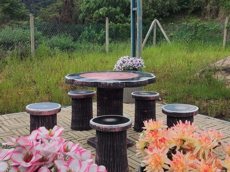 Photo of Others in Jeli