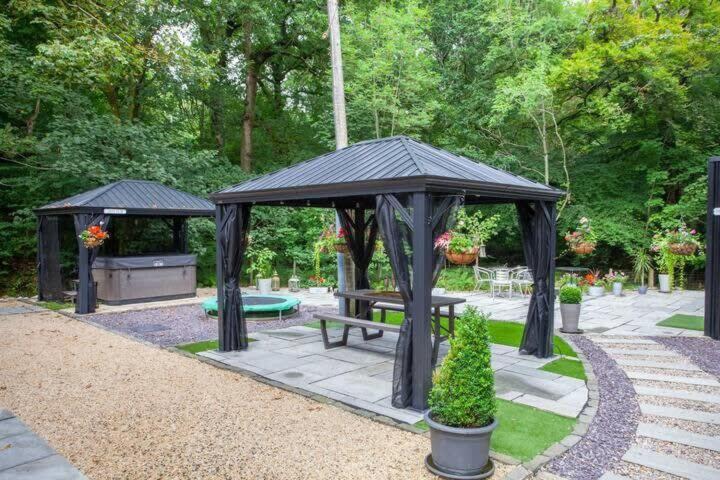 Photo of Others in Alexandria