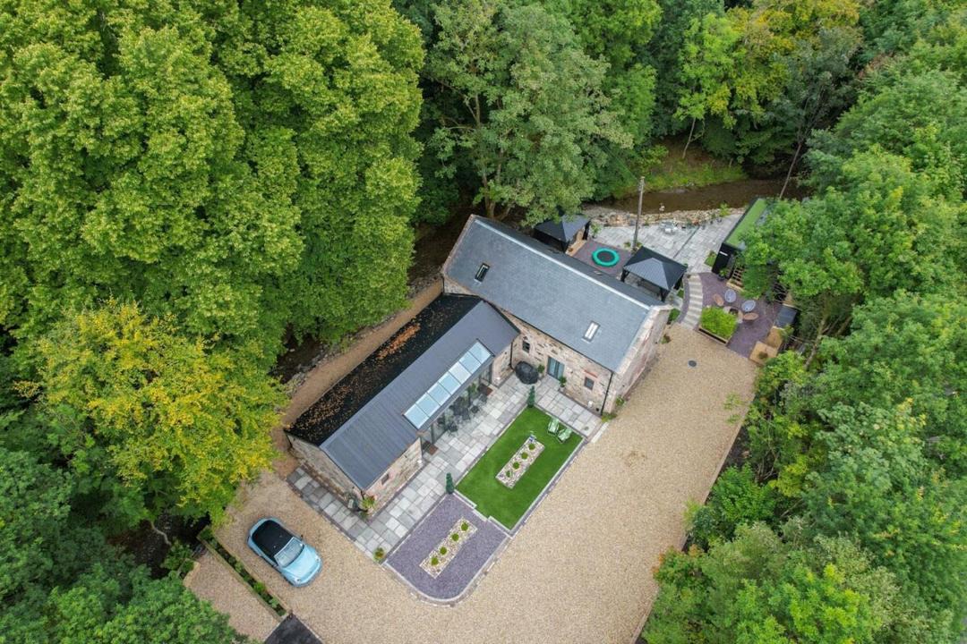 Photo of Others in Alexandria