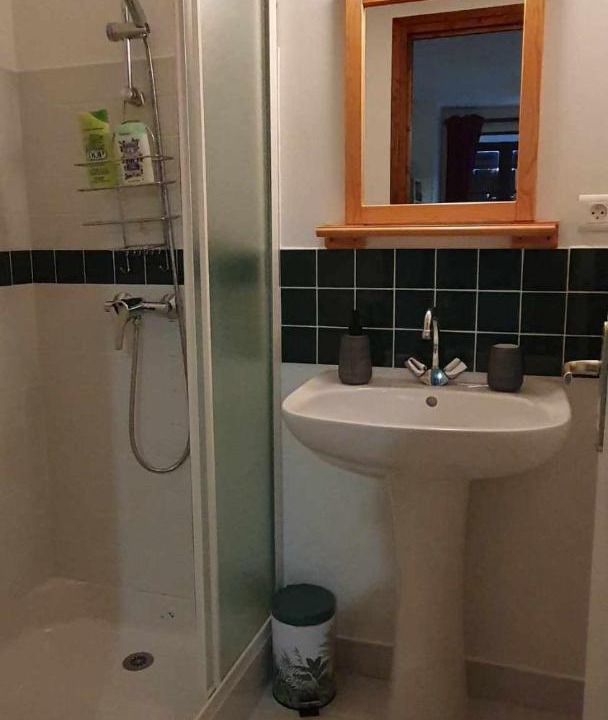 Photo of Others in Felines