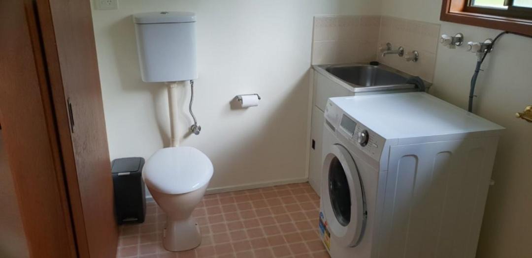 Photo of Others in Foster