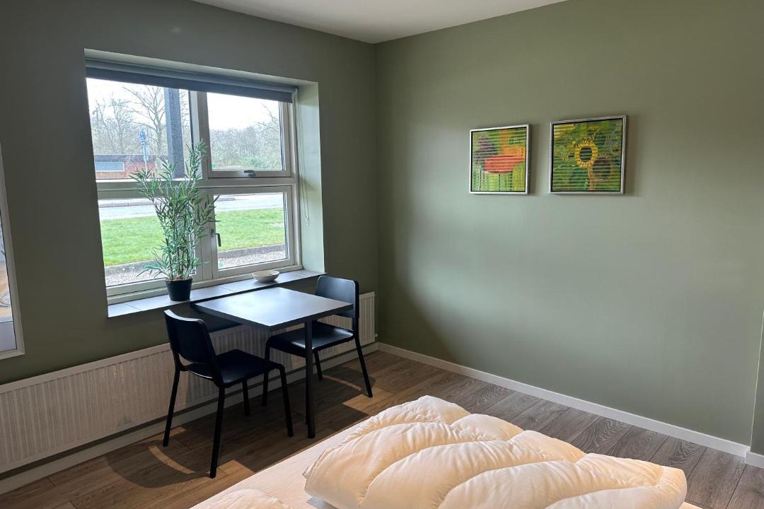 Photo of Others in Ribe