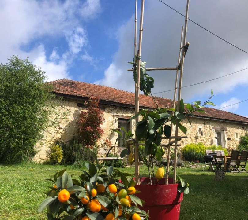 Photo of Others in Gueyze