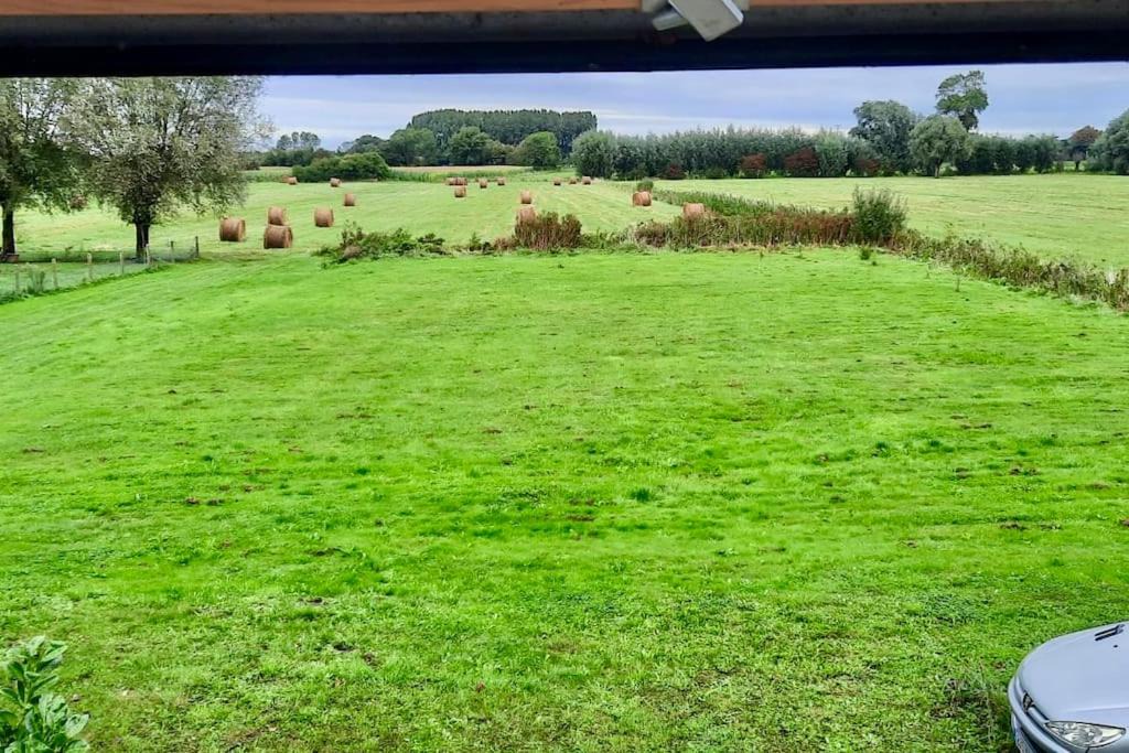 Photo of Others in Guines