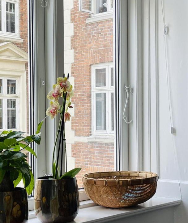 Photo of Others in København N