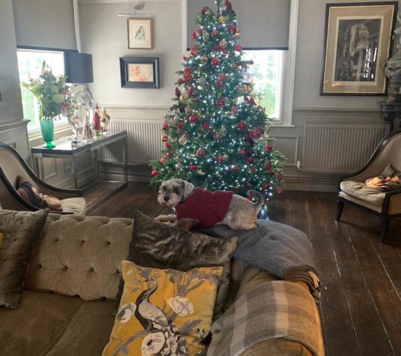 Photo of Livingroom in Etchingham