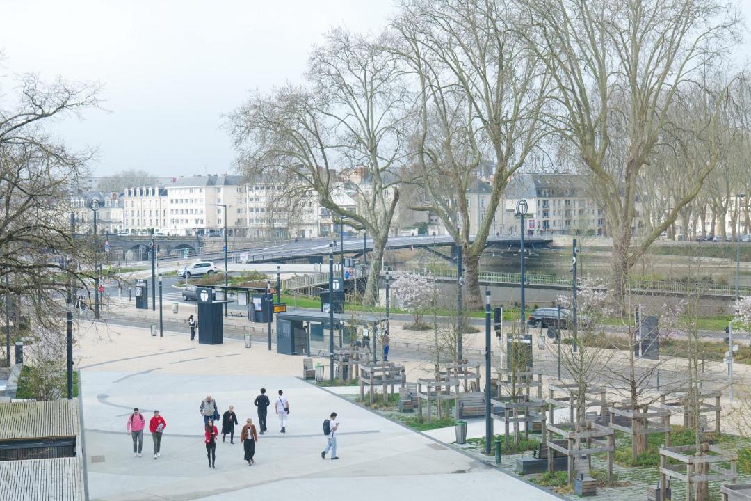 Photo of Others in Downtown Angers