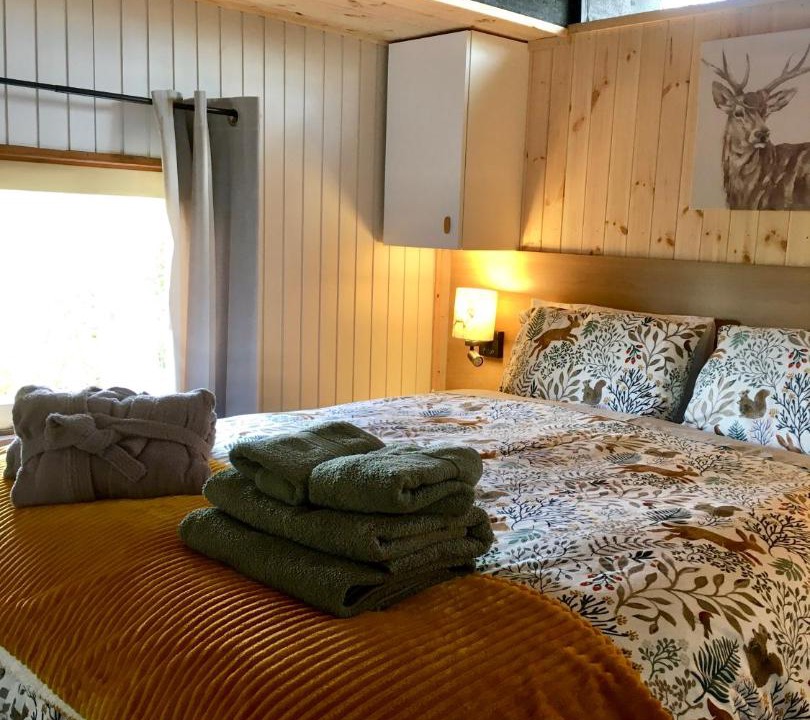 Photo of Others in Cenarth